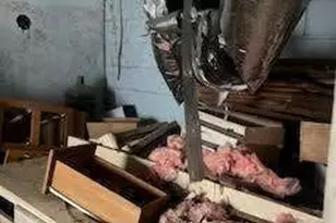 2487 Pleasantdale Rd, Atlanta, GA 30340 - Photo 7