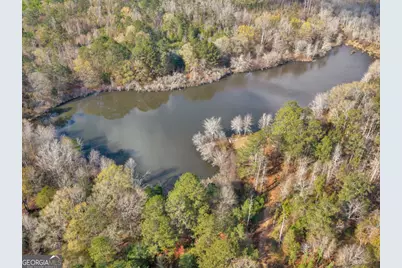 481 Turner Road, Concord, GA 30206 - Photo 41