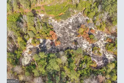 481 Turner Road, Concord, GA 30206 - Photo 43