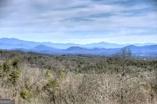 187 Mahoosec Trail, Mineral Bluff, GA 30559 - Photo 3