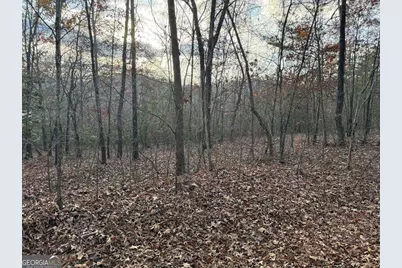 28/32 Stuart Ridge Road, Mineral Bluff, GA 30559 - Photo 1