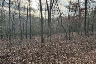 28/32 Stuart Ridge Rd, Mineral Bluff, GA 30559 - Photo 1