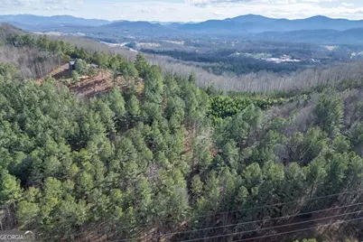 Lot 74 Thirteen Hundred, Blairsville, GA 30512 - Photo 15
