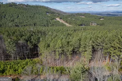 Lot 74 Thirteen Hundred, Blairsville, GA 30512 - Photo 21