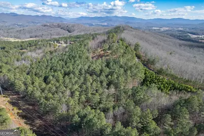 Lot 74 Thirteen Hundred, Blairsville, GA 30512 - Photo 13