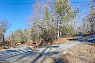 1063 Joe Davis Rd, Tiger, GA 30576 - Photo 35