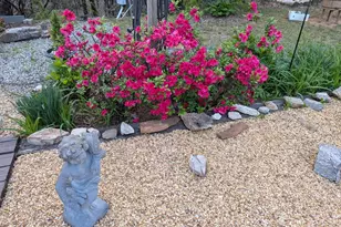 1063 Joe Davis Rd, Tiger, GA 30576 - Photo 39