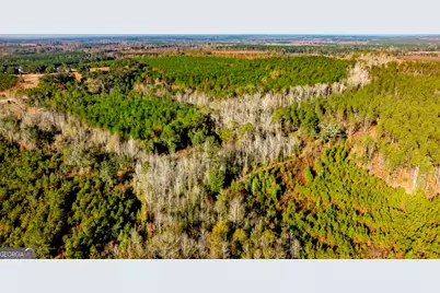 0 S Highway 19 & Warm Spring Road, Glenwood, GA 30428 - Photo 9