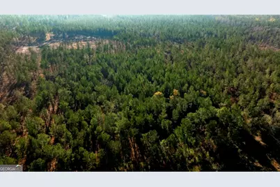 0 S Highway 19 & Warm Spring Road, Glenwood, GA 30428 - Photo 19