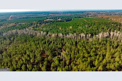 0 S Highway 19 & Warm Spring Road, Glenwood, GA 30428 - Photo 5