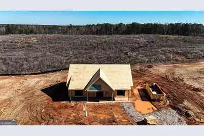 690 Primrose Circle, Greenville, GA 30222 - Photo 5