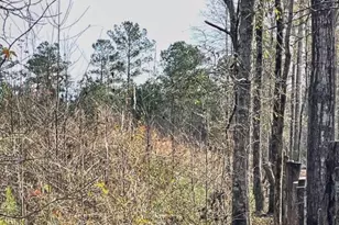 0 Zebulon Rd, Milner, GA 30257 - Photo 1