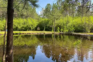 1655 Starling Rd, Pembroke, GA 31321 - Photo 7