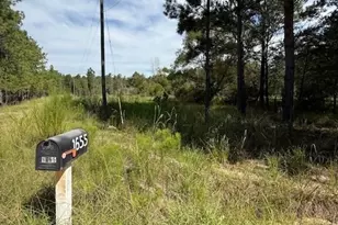 1655 Starling Rd, Pembroke, GA 31321 - Photo 5