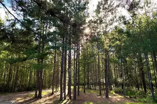 1655 Starling Rd, Pembroke, GA 31321 - Photo 9