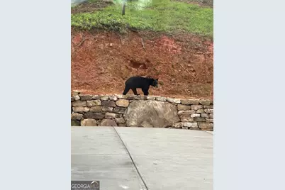 1281 High River Crossing, Ellijay, GA 30540 - Photo 65