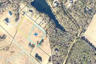 0 Mill Creek Rd, Bartow, GA 30413 - Photo 1