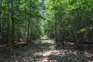 1949 Hwy 29 N, Danielsville, GA 30633 - Photo 23