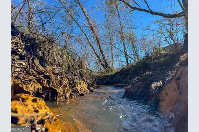 10544 S Hwy 17, Wadley, GA 30477 - Photo 29