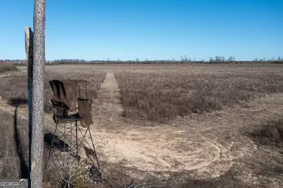 10544 S Hwy 17, Wadley, GA 30477 - Photo 15