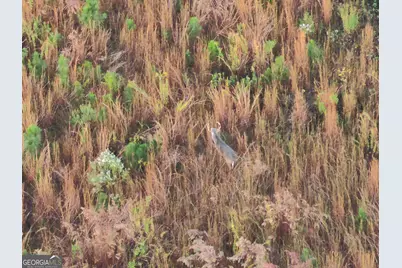 10544 S Hwy 17, Wadley, GA 30477 - Photo 3