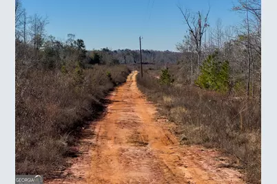 10544 S Hwy 17, Wadley, GA 30477 - Photo 27