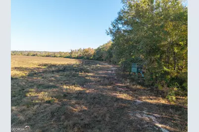 1 S Hwy 17, Wadley, GA 30477 - Photo 9