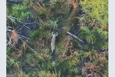 1 S Hwy 17, Wadley, GA 30477 - Photo 21