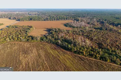 1 S Hwy 17, Wadley, GA 30477 - Photo 5