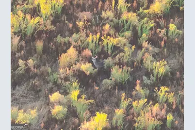 1 S Hwy 17, Wadley, GA 30477 - Photo 17