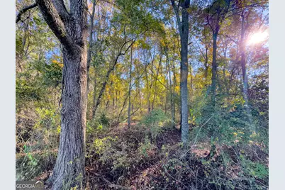 1 S Hwy 17, Wadley, GA 30477 - Photo 11