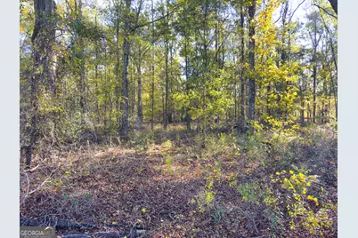 1 S Hwy 17, Wadley, GA 30477 - Photo 13