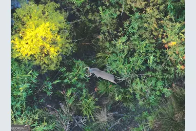 1 S Hwy 17, Wadley, GA 30477 - Photo 23