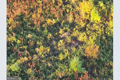 1 S Hwy 17, Wadley, GA 30477 - Photo 19