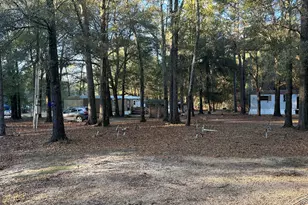 34 Hall Rd, Hawkinsville, GA 31036 - Photo 1