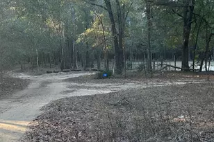 34 Hall Rd, Hawkinsville, GA 31036 - Photo 15