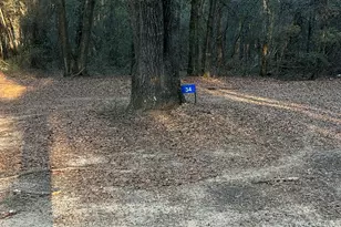 34 Hall Rd, Hawkinsville, GA 31036 - Photo 13