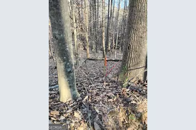 000 Garrison Shoals Rd, Lula, GA 30554 - Photo 13