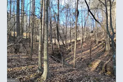 000 Garrison Shoals Rd, Lula, GA 30554 - Photo 15