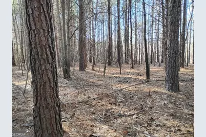 0000 Garrison Shoals Rd, Lula, GA 30554 - Photo 15