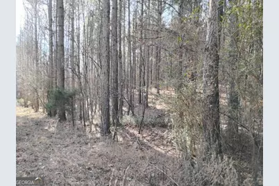 0000 Garrison Shoals Rd, Lula, GA 30554 - Photo 11