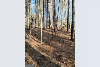 0000 Garrison Shoals Rd, Lula, GA 30554 - Photo 23