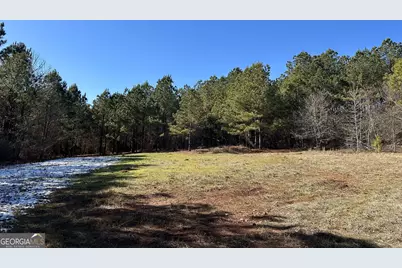 7800 Veazey Road, White Plains, GA 30678 - Photo 13