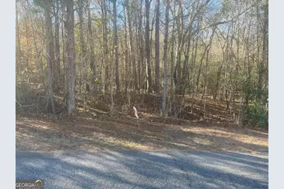 151 Gates Road, Lizella, GA 31052 - Photo 5