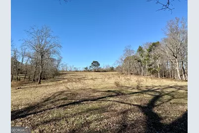 0 Kansas-Jake Road, Waco, GA 30182 - Photo 29