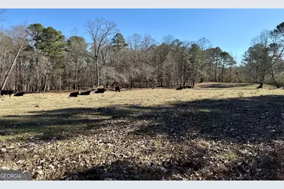 0 Kansas-Jake Road, Waco, GA 30182 - Photo 13