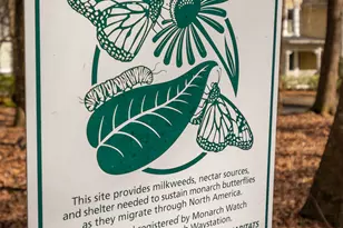 83 Charter Oak Dr, Athens, GA 30607 - Photo 69