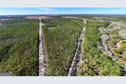 15.56 Acres N McDonald Road, Waycross, GA 31503 - Photo 11