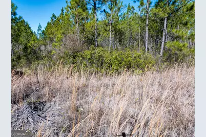 15.56 Acres N McDonald Road, Waycross, GA 31503 - Photo 15
