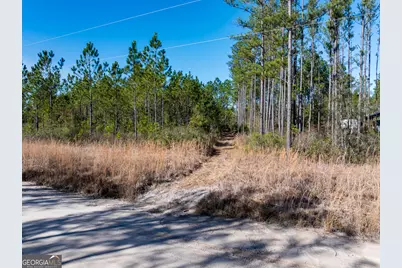 15.56 Acres N McDonald Road, Waycross, GA 31503 - Photo 17